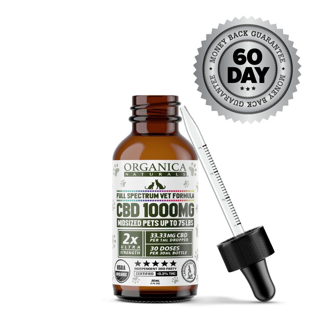 Pet CBD Oil For Dogs and Cats: 1000mg Veterinary Formula For Mid-Sized Pets